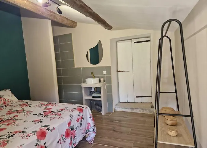 Appartement T2 37 M2 Entierement Renove