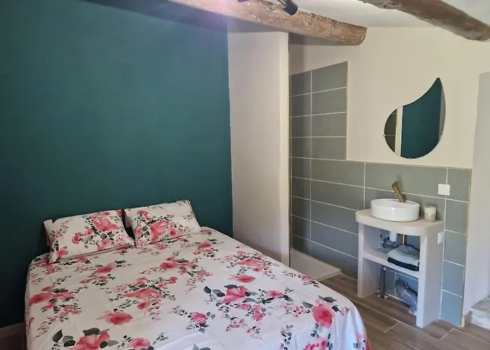 Appartement T2 37 M2 Entierement Renove